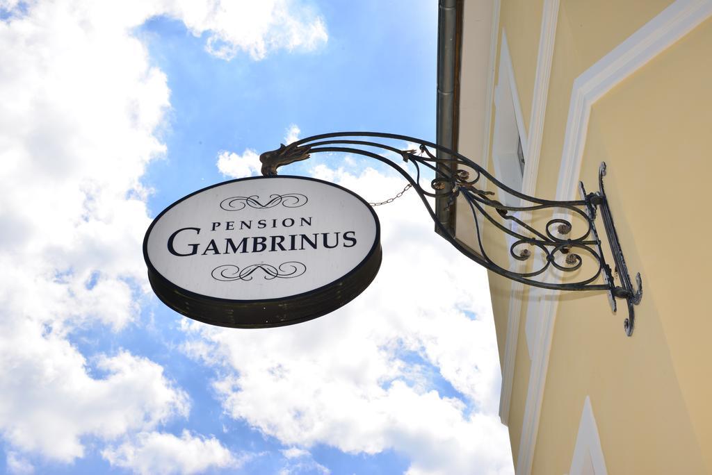 Pension Gambrinus パッサウ エクステリア 写真
